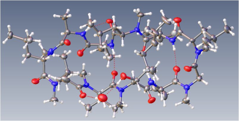 SCX1101 Figure 2 structure of Cyclosporine A